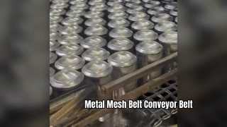 Food-grade Atainless Ateel Changcheng Web And Maotai Web Conveyor belt